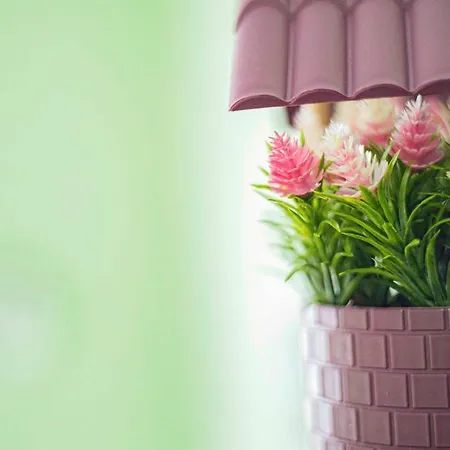 Bed & Breakfast Пансион - Димитър Хадживасилев Svishtov