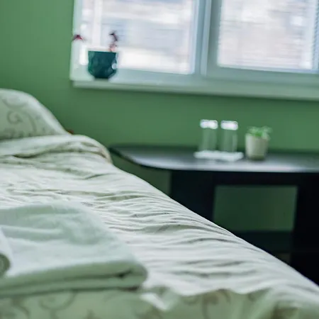 Пансион - Димитър Хадживасилев 3* Svishtov