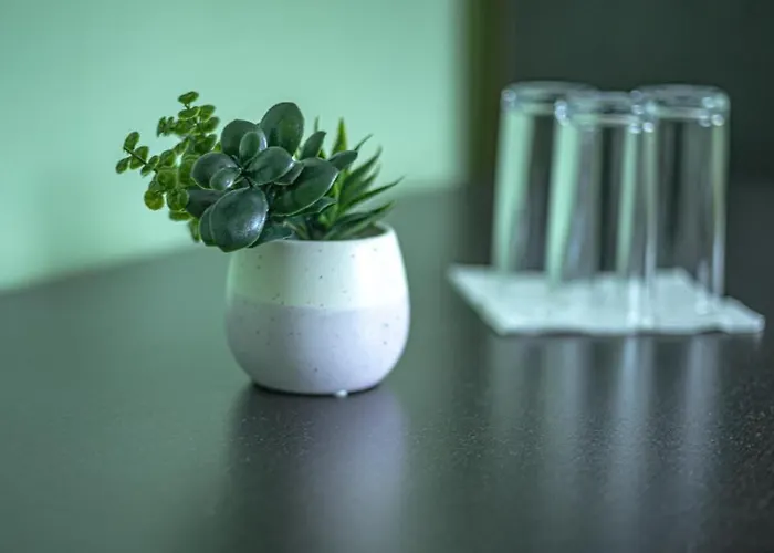 Пансион - Димитър Хадживасилев Frühstückspension