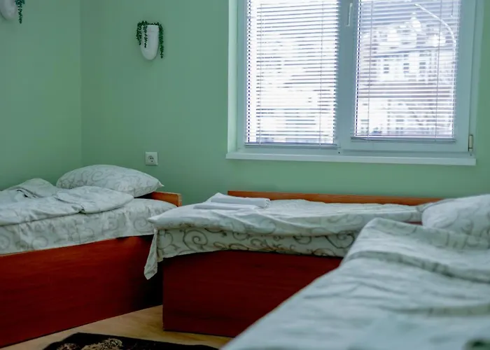 Пансион - Димитър Хадживасилев 3* Svishtov