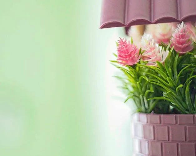 Frühstückspension Пансион - Димитър Хадживасилев Svishtov