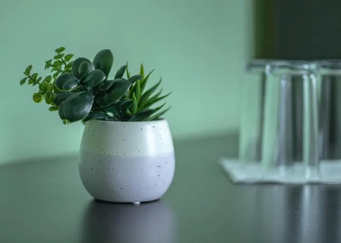 Пансион - Димитър Хадживасилев 3*