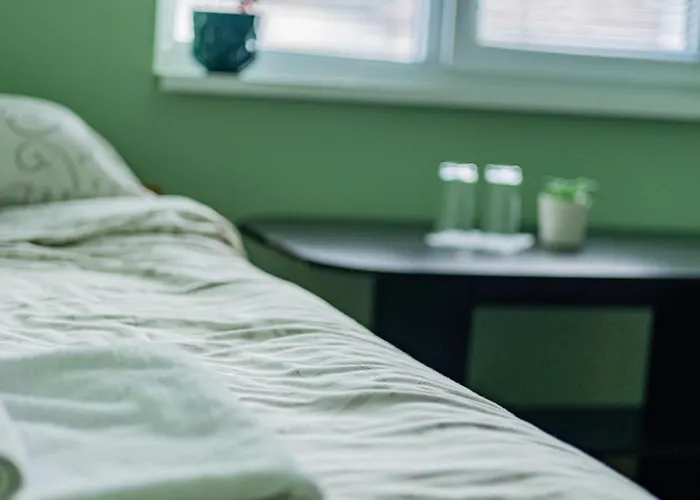 Пансион - Димитър Хадживасилев 3* Svishtov